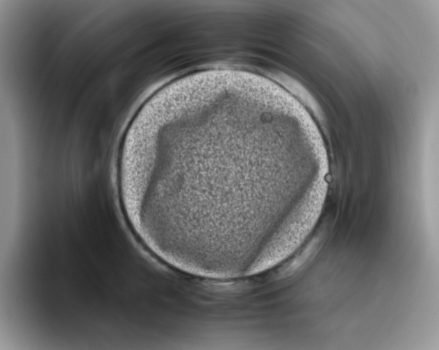 X0000095910855200802081051