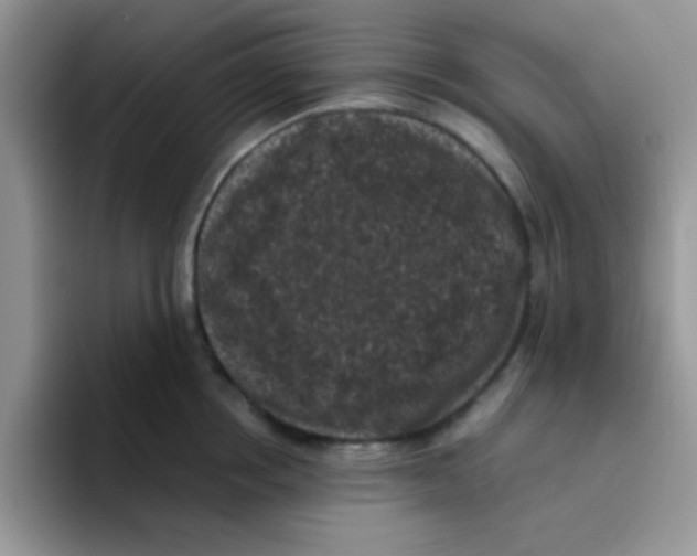 X0000095910858200802081052