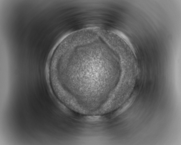 X0000095910859200802081052