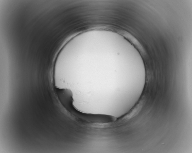 X0000095910860200802081052