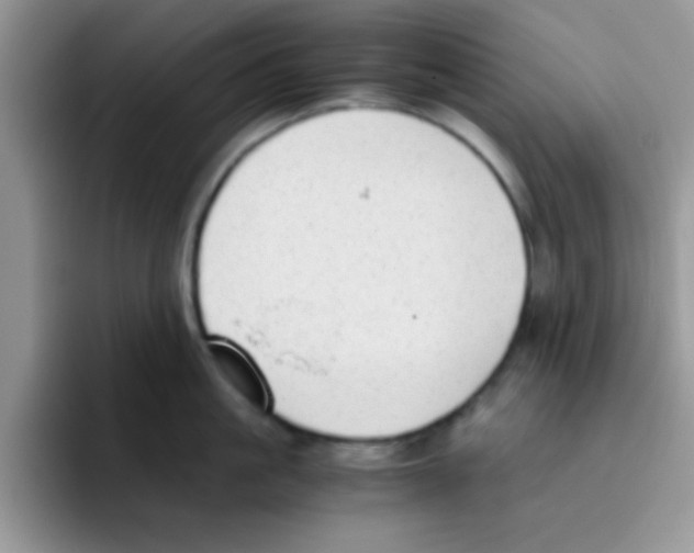 X0000095910861200802081052