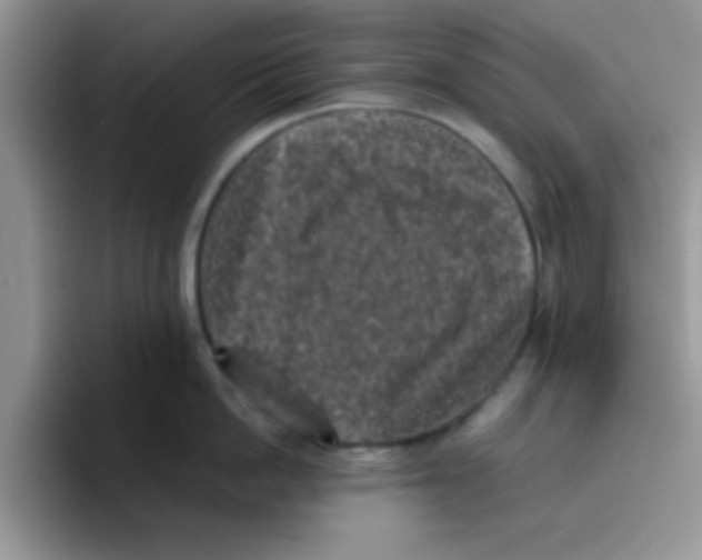 X0000095910862200802081052