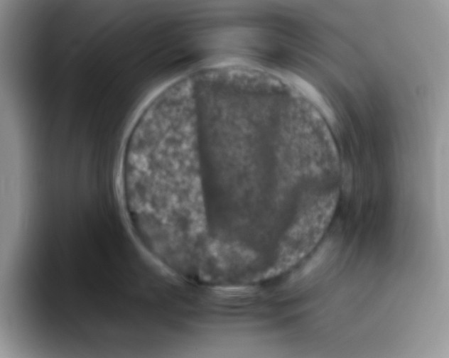 X0000095910863200802081052