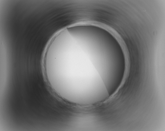 X0000095910864200802081052