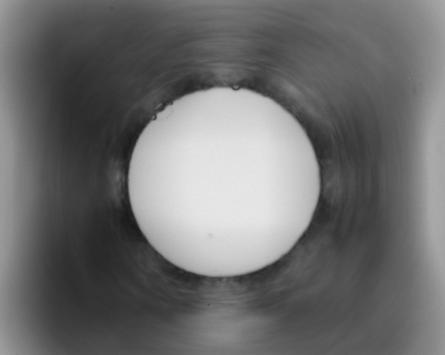 X0000095910866200802081051