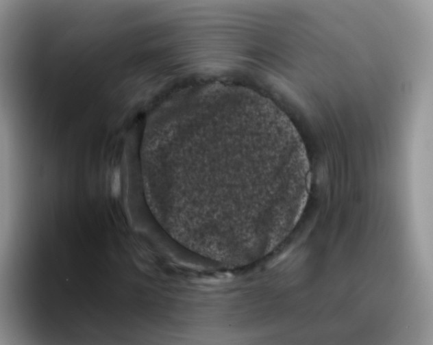 X0000095910868200802081051