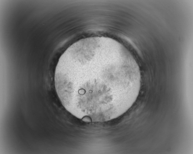 X0000095910871200802081051