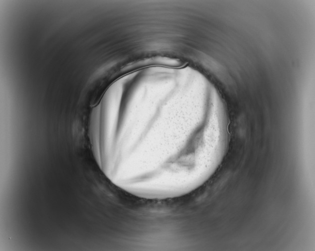 X0000095910872200802081051