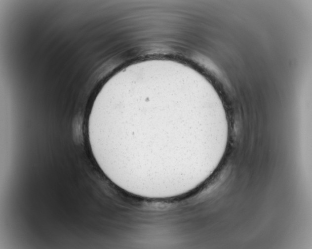 X0000095910873200802081051