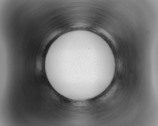 X0000095910874200802081051