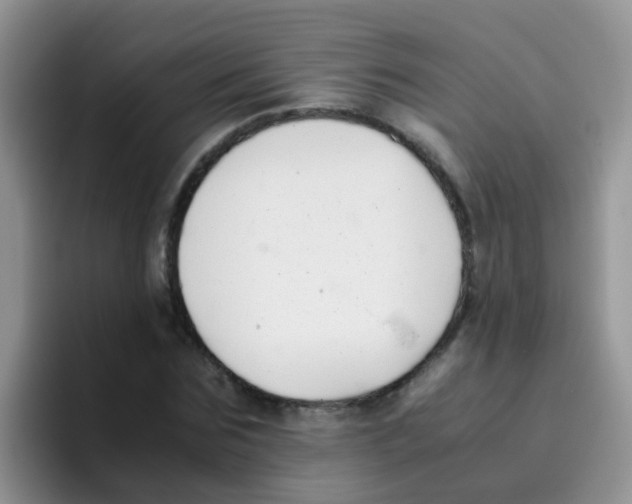 X0000095910875200802081051