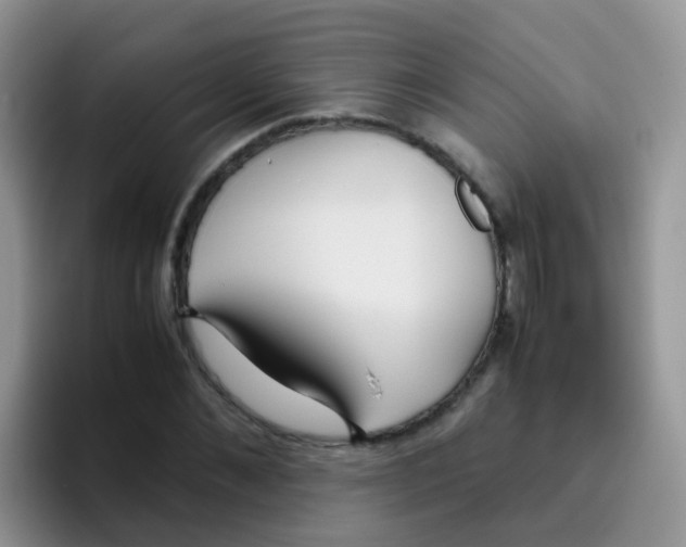 X0000095910876200802081051