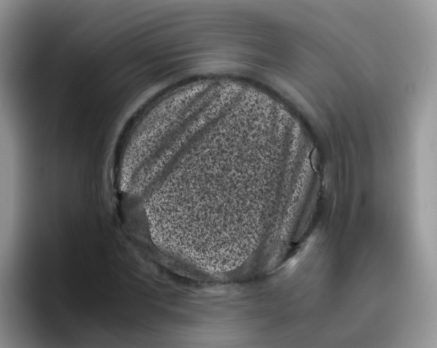 X0000095910877200802081051