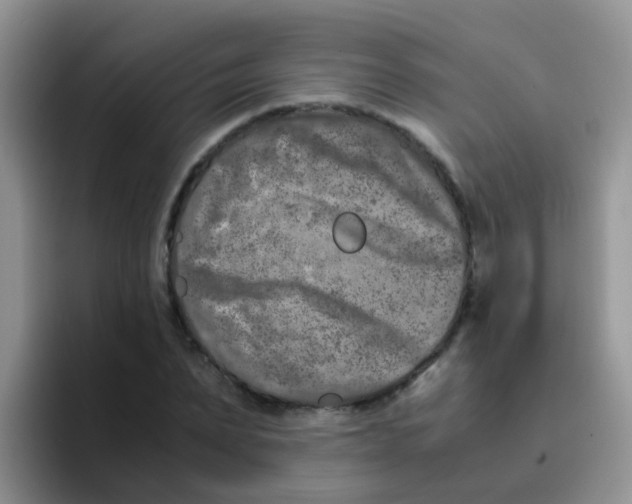 X0000095910879200802081051