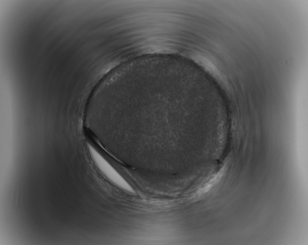 X0000095910881200802081051