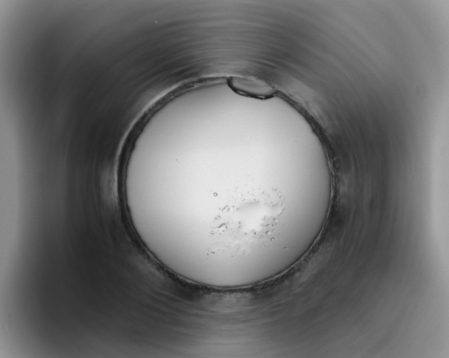 X0000095910884200802081051