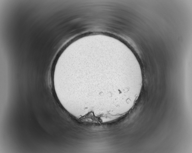 X0000095910887200802081051