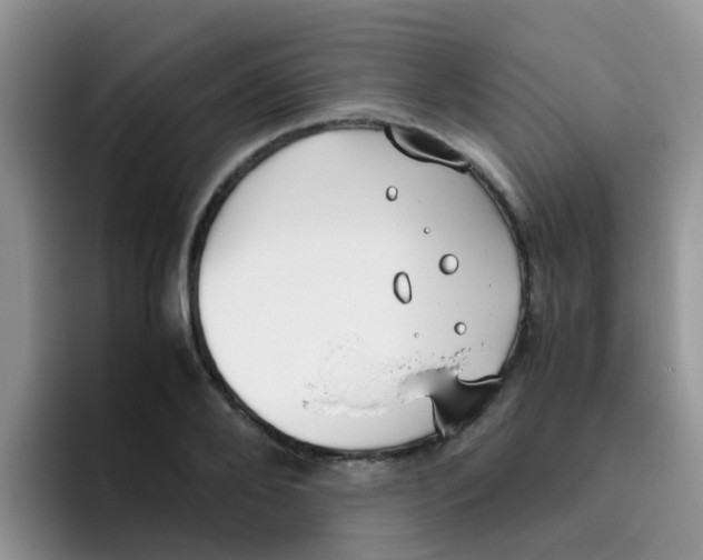 X0000095910888200802081051