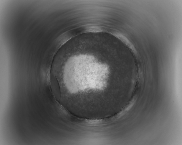 X0000095910889200802081051