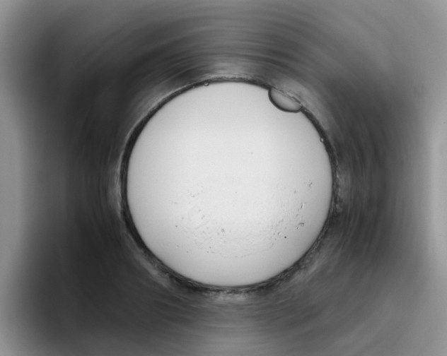 X0000095910890200802081050