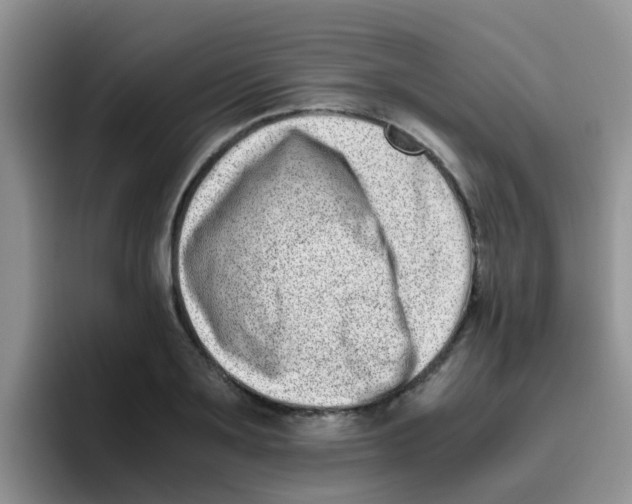 X0000095910891200802081050