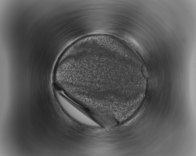 X0000095910892200802081050