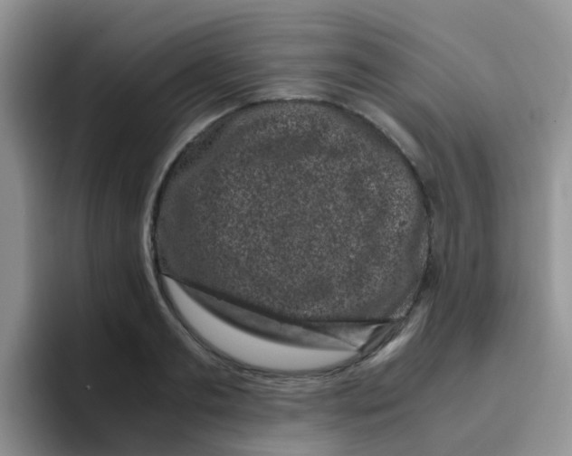 X0000095910893200802081050