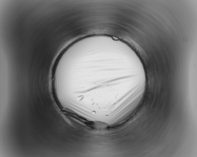 X0000095910894200802081050