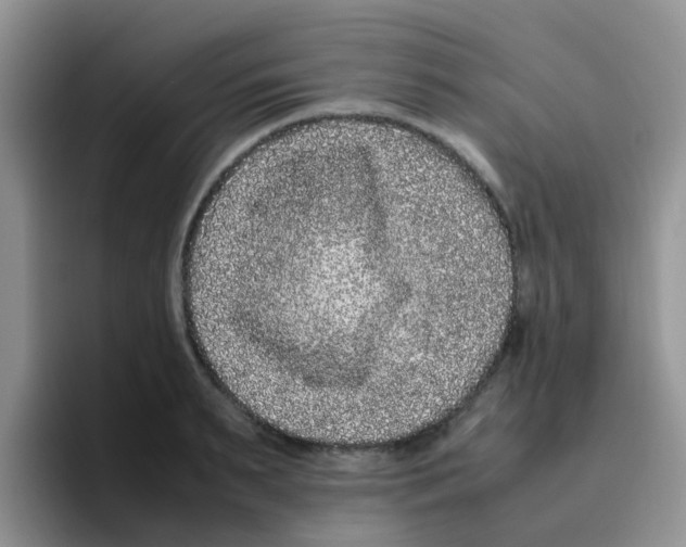 X0000095910895200802081050