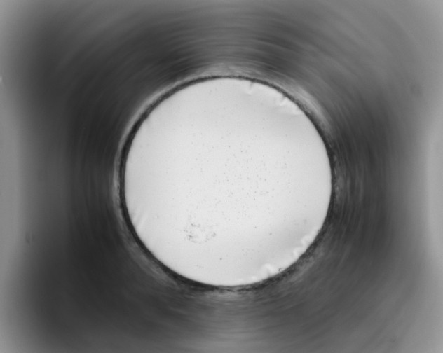 X0000095910896200802081050