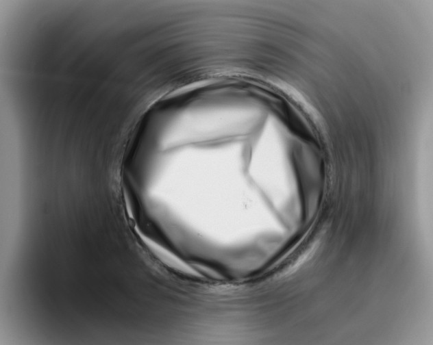 X0000095910897200802081050