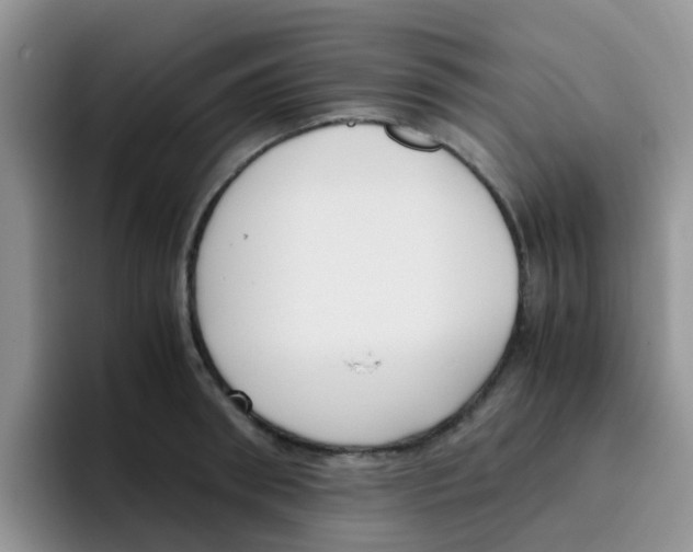 X0000095910898200802081050