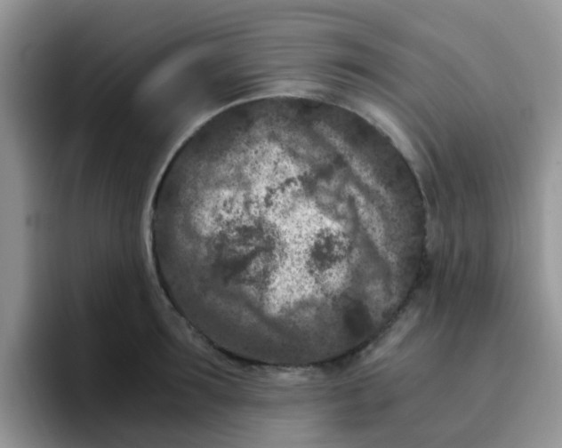 X0000095910899200802081050