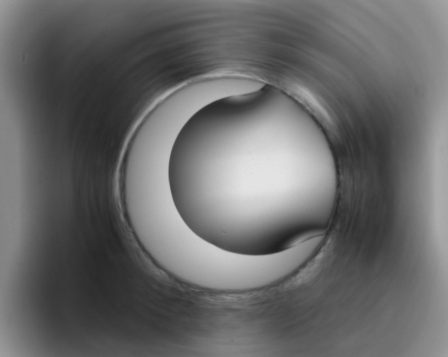 X0000095910900200802081050