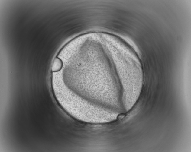 X0000095910903200802081050