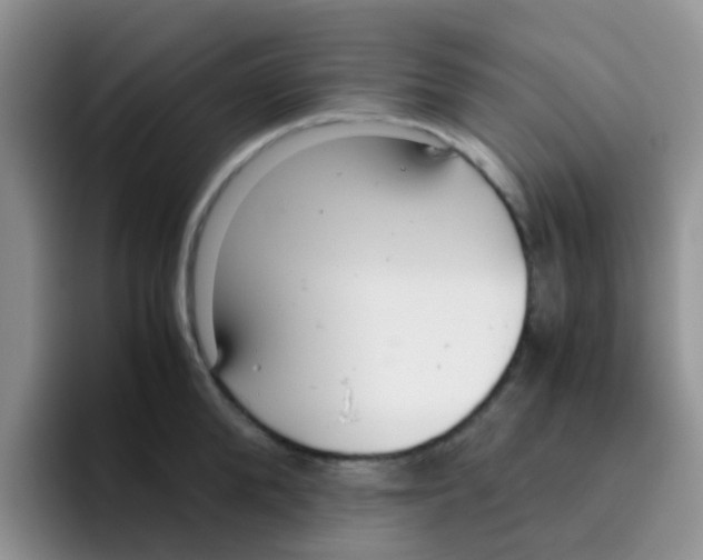 X0000095910904200802081050