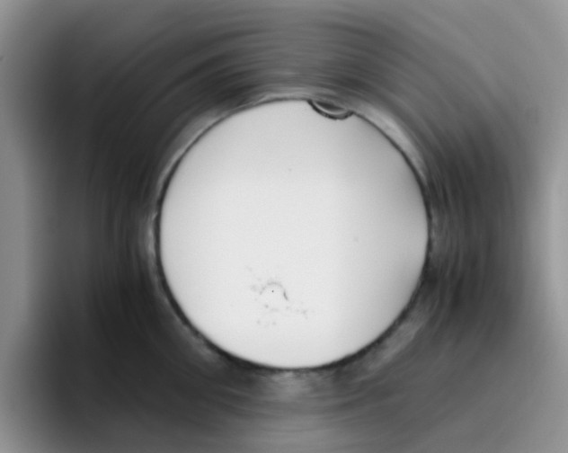 X0000095910906200802081050