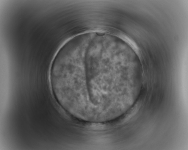 X0000095910907200802081050