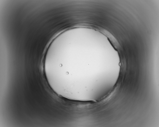 X0000095910908200802081050