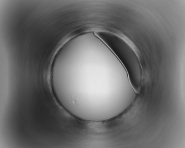 X0000095910909200802081050