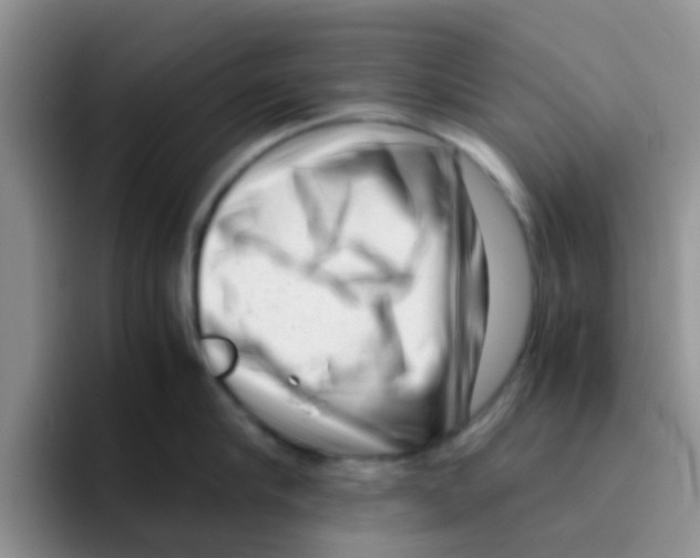 X0000095910910200802081050