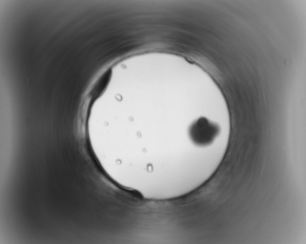 X0000095910912200802081050