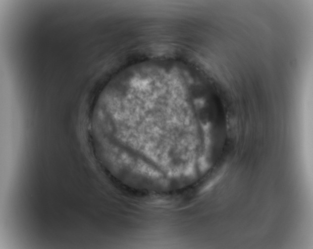 X0000095910913200802081050