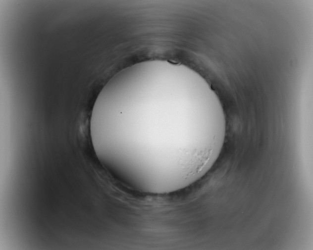 X0000095910914200802081050