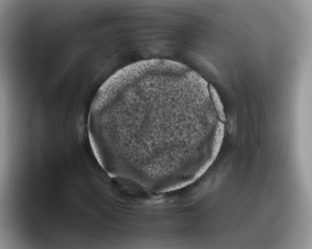 X0000095910915200802081050