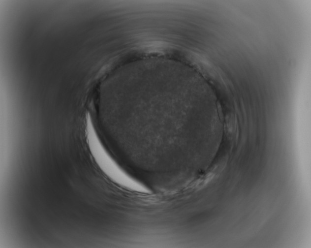 X0000095910916200802081050