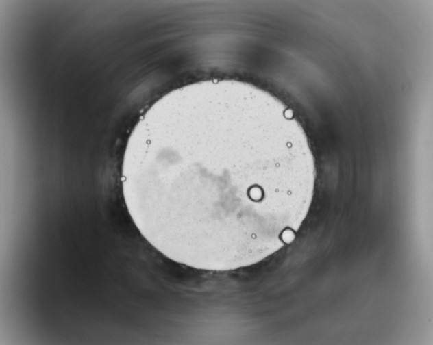 X0000095910918200802081050