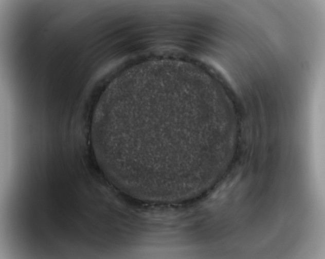 X0000095910919200802081050