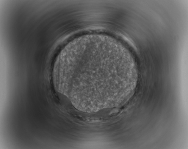 X0000095910920200802081050