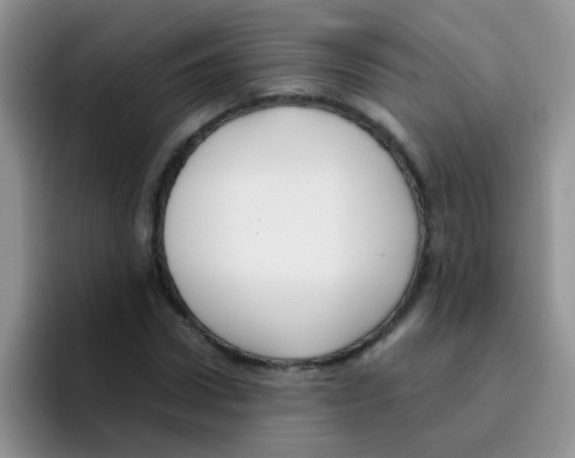 X0000095910922200802081050